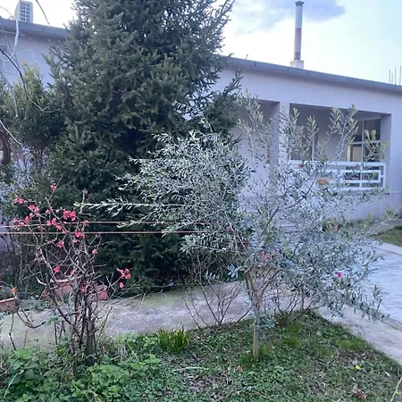 Luxury House Vakantiehuis *